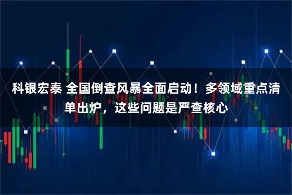 科银宏泰 全国倒查风暴全面启动！多领域重点清单出炉，这些问题是严查核心