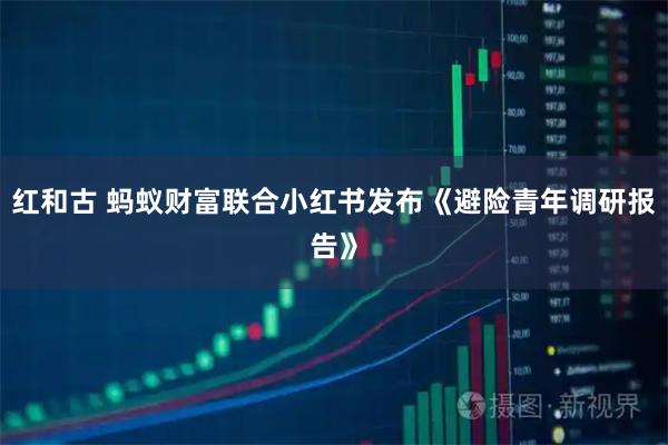 红和古 蚂蚁财富联合小红书发布《避险青年调研报告》