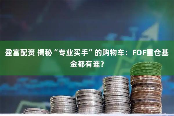 盈富配资 揭秘“专业买手”的购物车：FOF重仓基金都有谁？