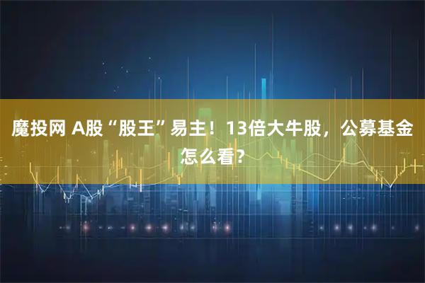 魔投网 A股“股王”易主！13倍大牛股，公募基金怎么看？