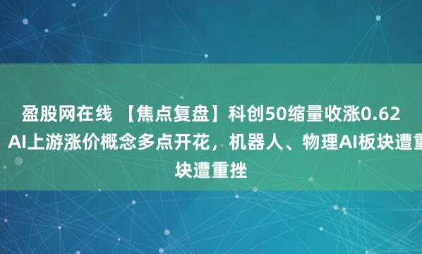 盈股网在线 【焦点复盘】科创50缩量收涨0.62%，AI上游涨价概念多点开花，机器人、物理AI板块遭重挫