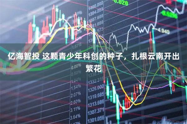 亿海智投 这颗青少年科创的种子，扎根云南开出繁花