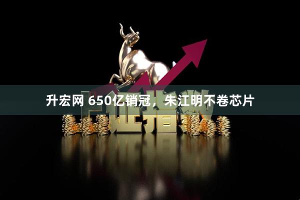 升宏网 650亿销冠，朱江明不卷芯片